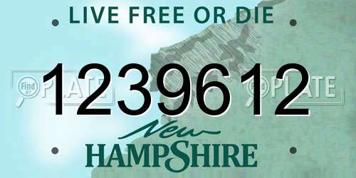 1239612 New Hampshire License Plate