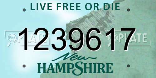 1239617 New Hampshire License Plate