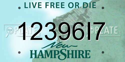 12396I7 New Hampshire License Plate