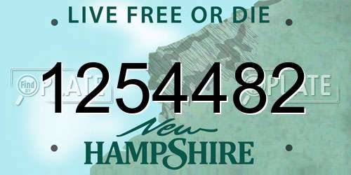 1254482 New Hampshire License Plate