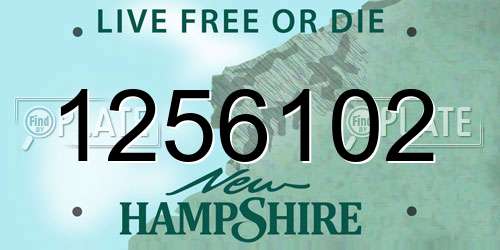 1256102 New Hampshire License Plate
