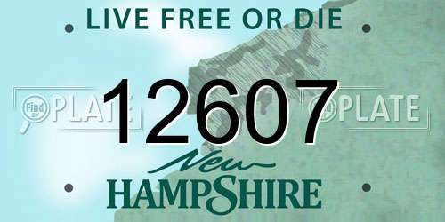 12607 New Hampshire License Plate