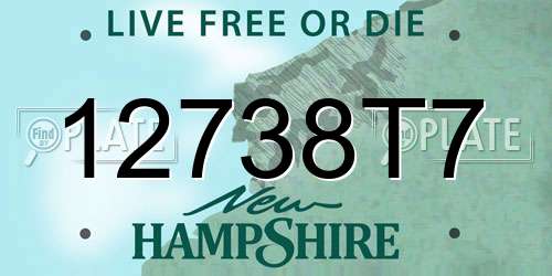 12738T7 New Hampshire License Plate