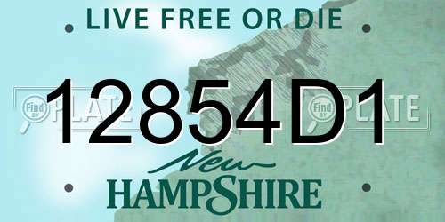 12854D1 New Hampshire License Plate