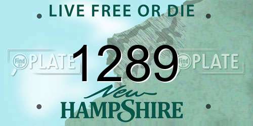 1289 New Hampshire License Plate
