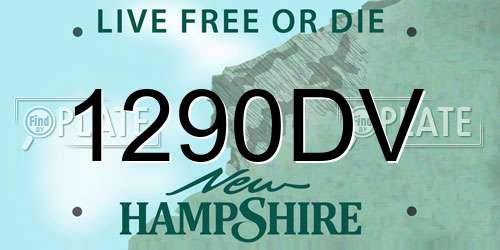 1290DV New Hampshire License Plate