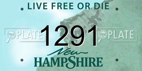 1291 New Hampshire License Plate
