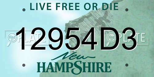 12954D3 New Hampshire License Plate