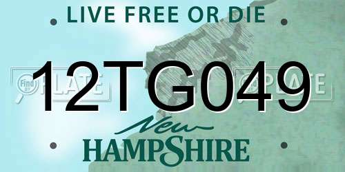 12TG049 New Hampshire License Plate