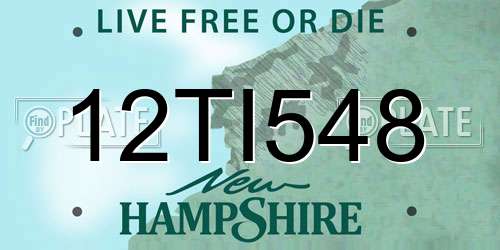 12TI548 New Hampshire License Plate