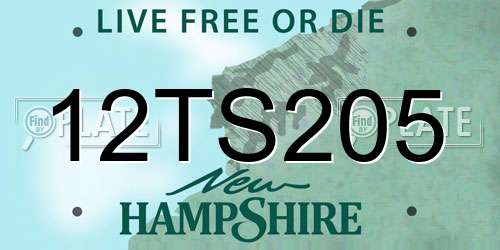 12TS205 New Hampshire License Plate