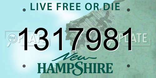 1317981 New Hampshire License Plate