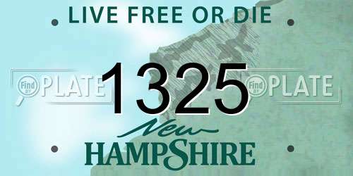 1325 New Hampshire License Plate