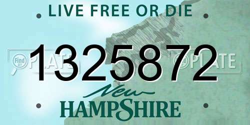 1325872 New Hampshire License Plate