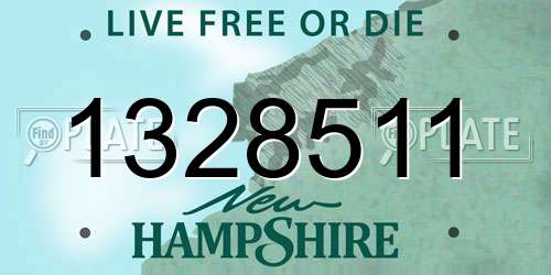 1328511 New Hampshire License Plate