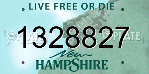 1328827 New Hampshire License Plate