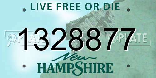 1328877 New Hampshire License Plate