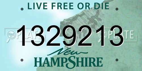 1329213 New Hampshire License Plate