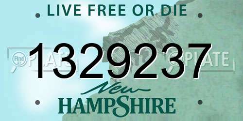 1329237 New Hampshire License Plate