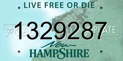 1329287 New Hampshire License Plate
