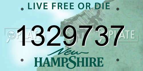 1329737 New Hampshire License Plate