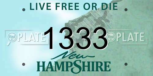 1333 New Hampshire License Plate