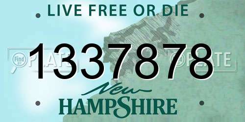 1337878 New Hampshire License Plate