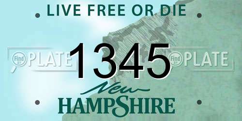 1345 New Hampshire License Plate