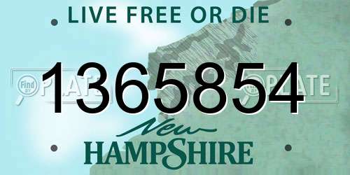 1365854 New Hampshire License Plate