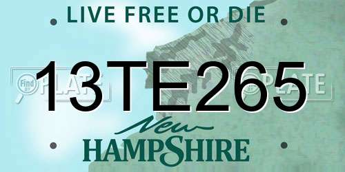 13TE265 New Hampshire License Plate