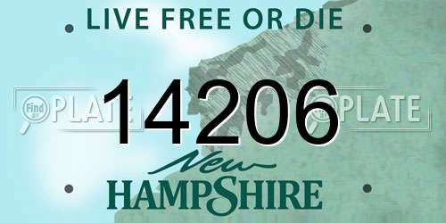 14206 New Hampshire License Plate
