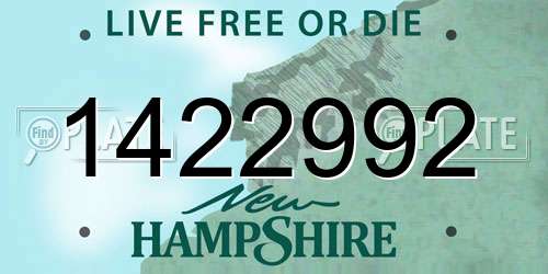 1422992 New Hampshire License Plate