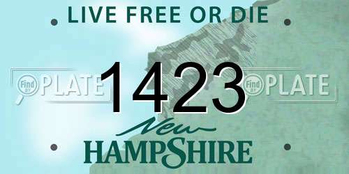 1423 New Hampshire License Plate