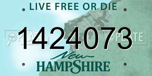 1424073 New Hampshire License Plate