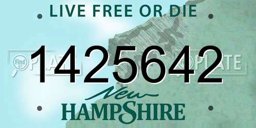 1425642 New Hampshire License Plate