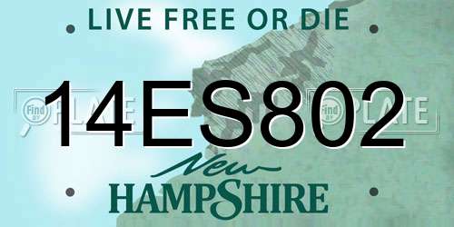 14ES802 New Hampshire License Plate