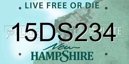 15DS234 New Hampshire License Plate