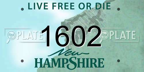 1602 New Hampshire License Plate