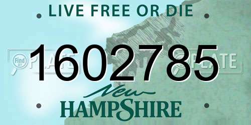 1602785 New Hampshire License Plate