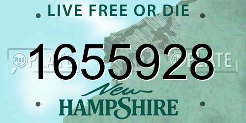 1655928 New Hampshire License Plate