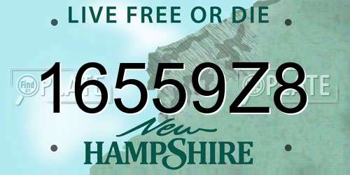 16559Z8 New Hampshire License Plate