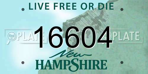 16604 New Hampshire License Plate