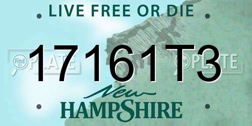 17161T3 New Hampshire License Plate