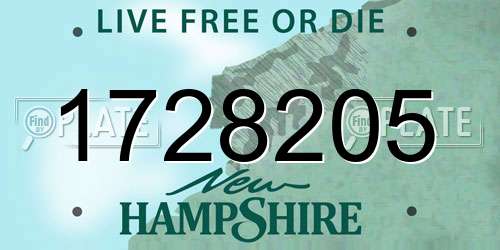 1728205 New Hampshire License Plate