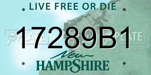 17289B1 New Hampshire License Plate