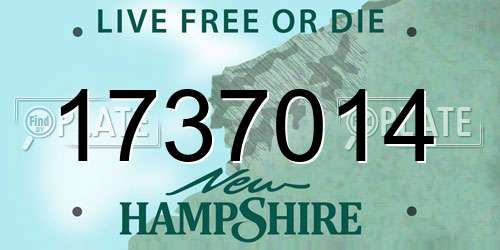 1737014 New Hampshire License Plate