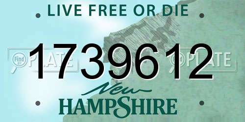 1739612 New Hampshire License Plate
