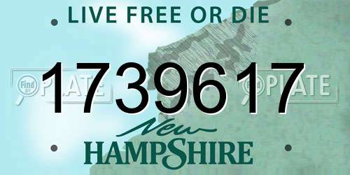 1739617 New Hampshire License Plate