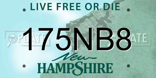 175NB8 New Hampshire License Plate