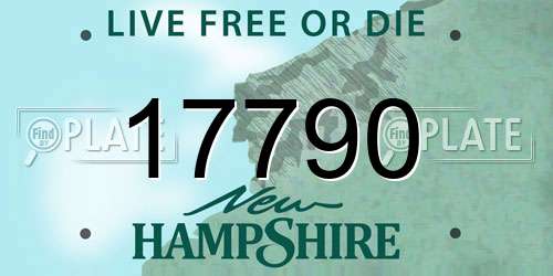 17790 New Hampshire License Plate